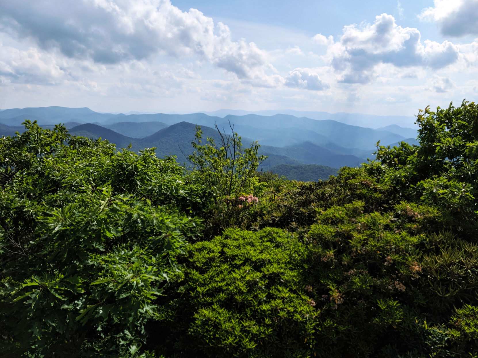 hike 5.jpg